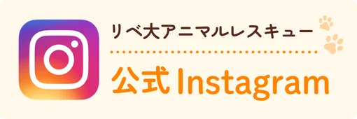 公式Instagram